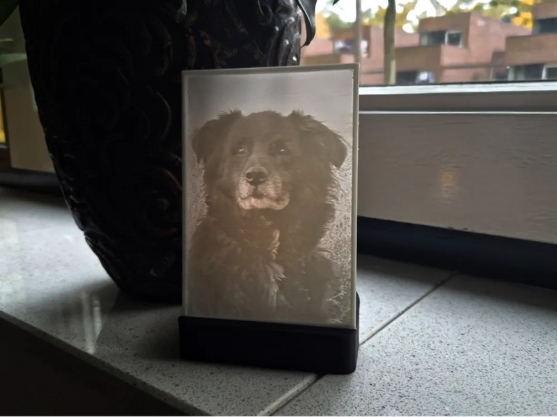 Glowing Portraits